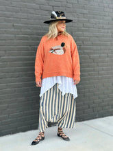 Load image into Gallery viewer, Earthsong Harem Pants in Stripe