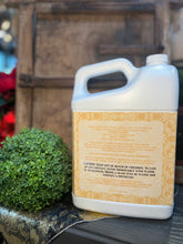 Load image into Gallery viewer, Diva Glamorous Wash, 1 gallon