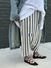 Load image into Gallery viewer, Earthsong Harem Pants in Stripe