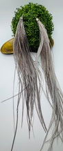 Load image into Gallery viewer, Posh Guinea Feather Earrings in Gray