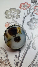 Load image into Gallery viewer, Fossilized Ring