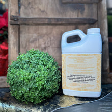 Load image into Gallery viewer, Trophy Glamorous Wash, 32oz.