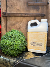 Load image into Gallery viewer, Diva Glamorous Wash, 32oz.