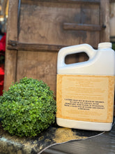 Load image into Gallery viewer, Trophy Glamorous Wash, 1/2 Gallon 64oz.