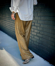 Load image into Gallery viewer, Bias Shimmer Pants