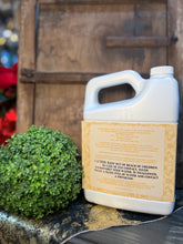 Load image into Gallery viewer, Diva Glamorous Wash, 64oz. or 1/2 gal.