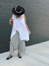 Load image into Gallery viewer, Earthsong Harem Pants in Stripe