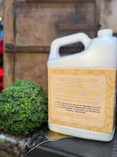 Load image into Gallery viewer, Trophy Glamorous Wash, 1 gal.