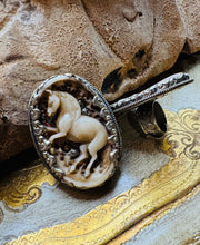 Load image into Gallery viewer, Gallop Around Ring