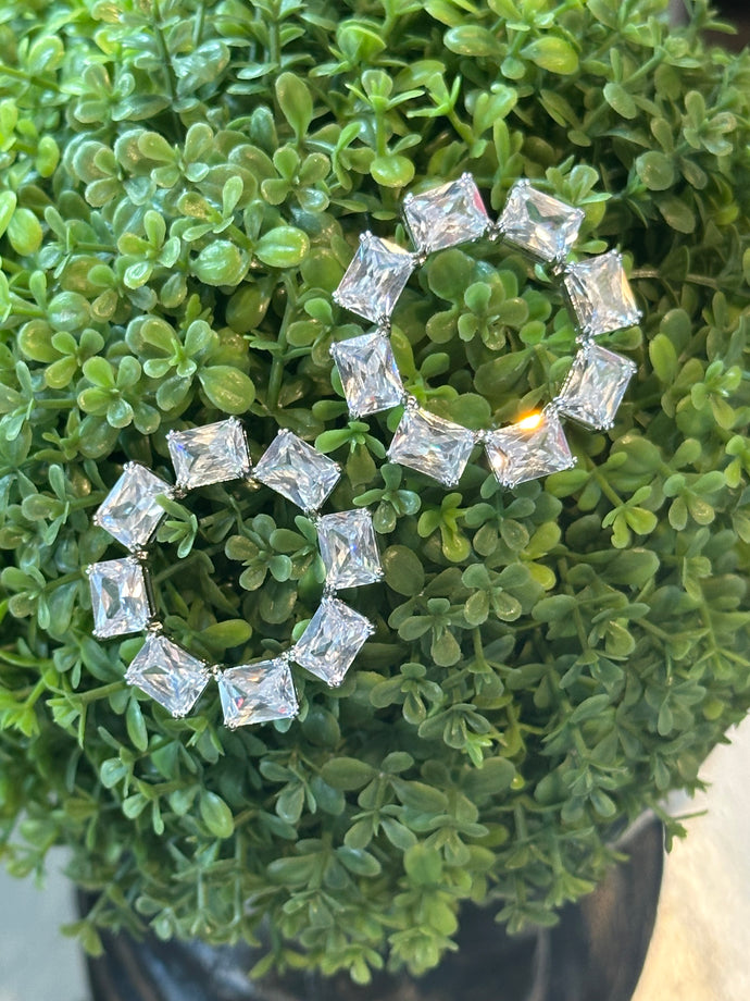 Quincy Circle Crystal Earrings