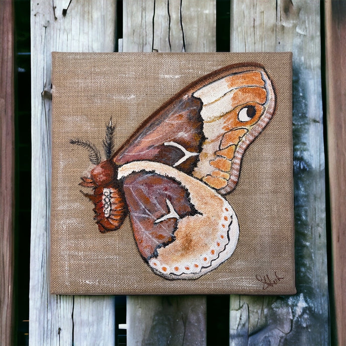 Flirtatious Butterfly Painting