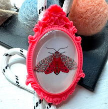 Load image into Gallery viewer, Secretive Fly Necklace Bolo
