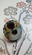 Load image into Gallery viewer, Fossilized Ring
