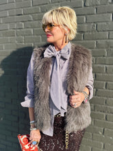 Load image into Gallery viewer, Figgy Fur Vest
