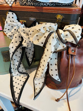 Load image into Gallery viewer, Fleck Polka Dot Scarves
