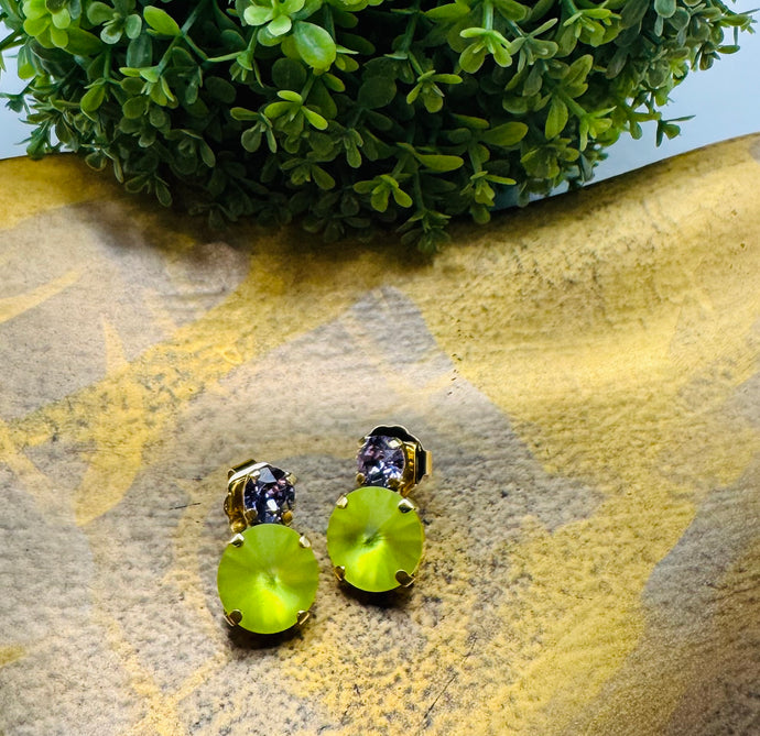 Baby Maegan Earrings in Vibrant Matte Colors