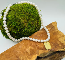 Load image into Gallery viewer, Diamond Dog Tag Necklace
