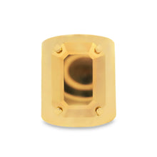 Load image into Gallery viewer, Roddy Ring in Aurum
