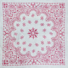 Load image into Gallery viewer, Pink Bandana Time
